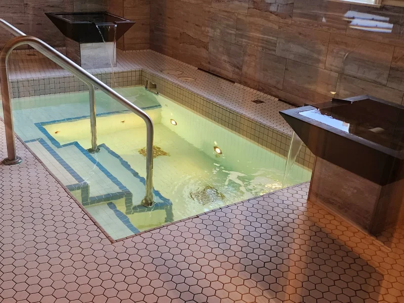 Indoor spa soaking pool with tiled steps, handrails, and tranquil warm lighting