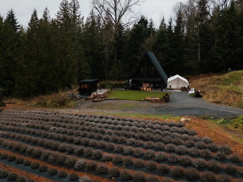 Soiul Wellness — photo 5