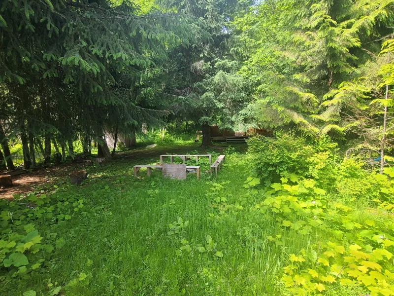 Weewanie Hot Springs Provincial Park — photo 5