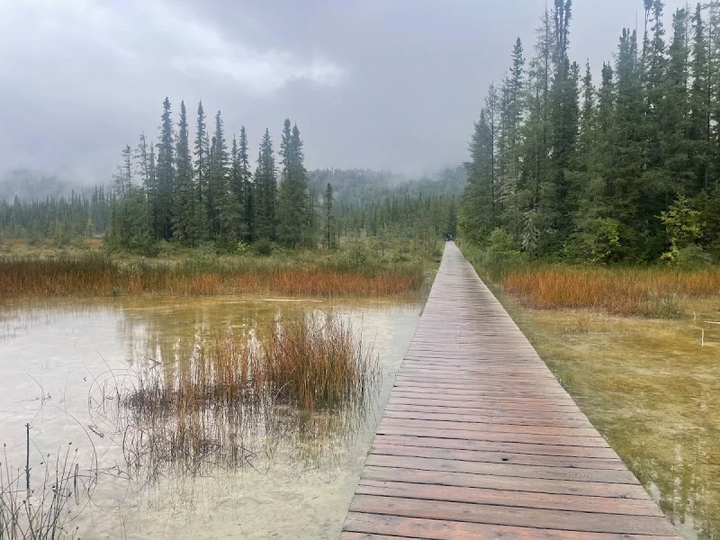 Liard River Hot Springs — photo 2