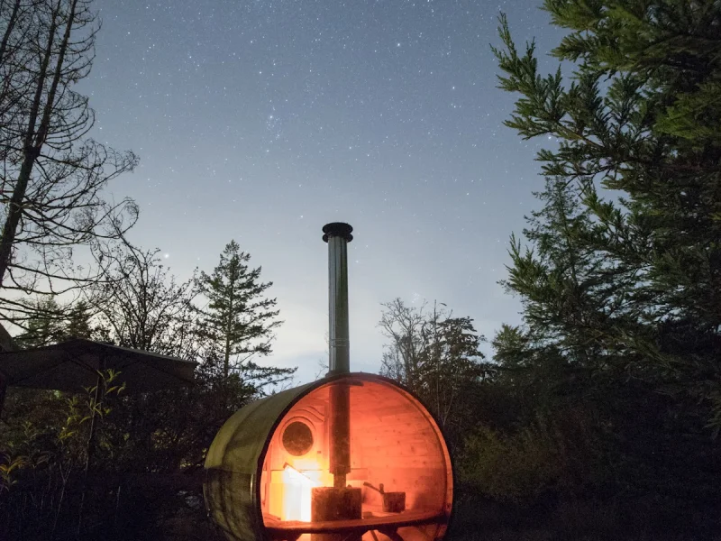 Salty Pear Studio Gallery, B&B and Sauna — photo 4