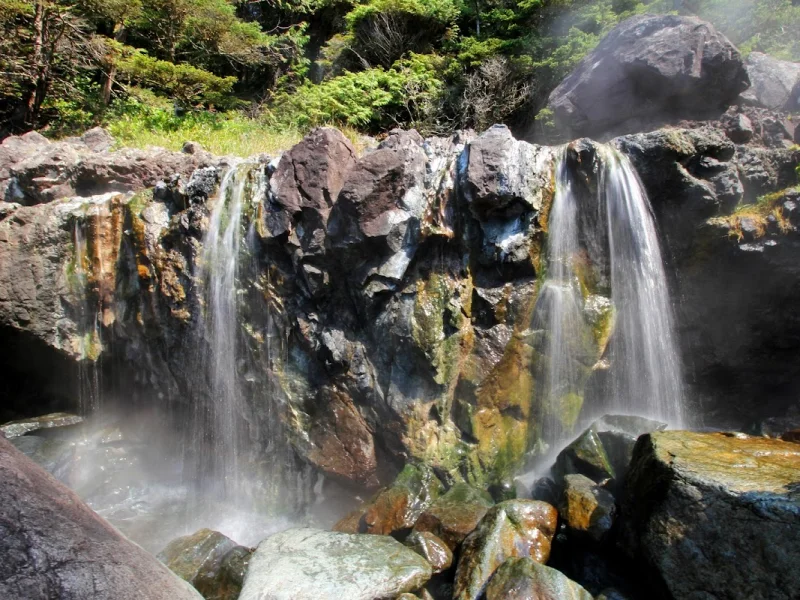 Natural hot spring waterfall cascading over rock pools in a forested coastal setting