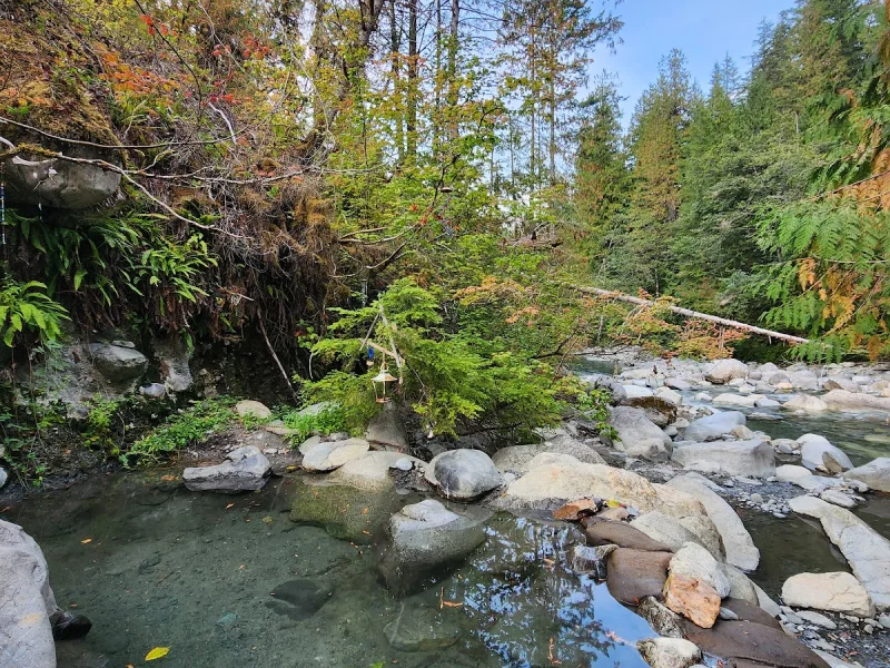 Clear outdoor mineral pool with forest views and rocky shoreline