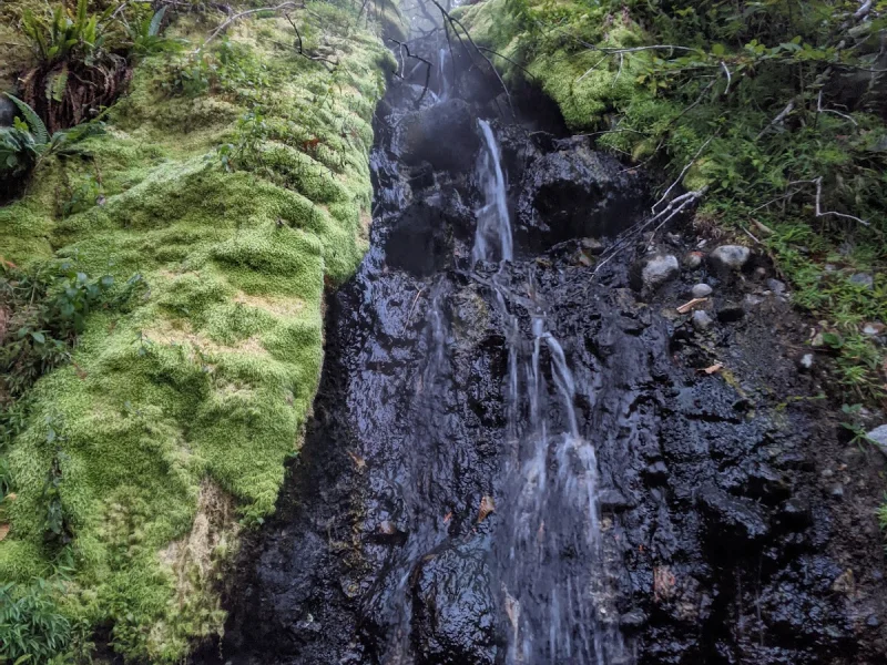 Moss-covered waterfall beside a secluded wilderness hot spring