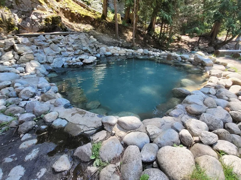Outdoor stone-lined hot spring pool surrounded by dense evergreen forest