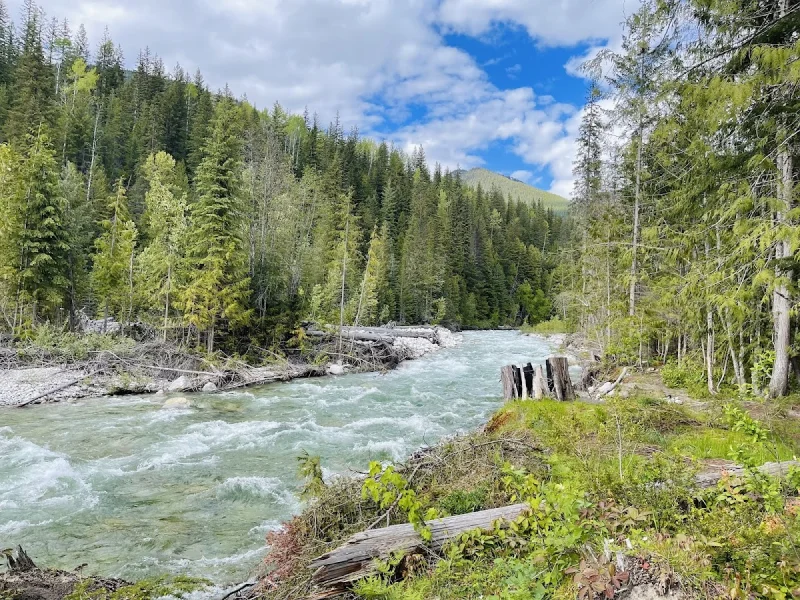 Scenic mountain river with evergreen forest and blue sky