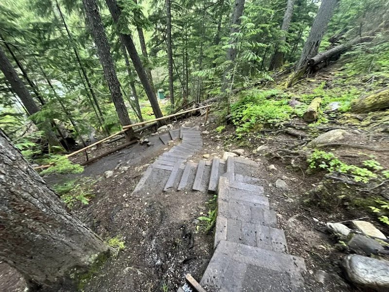 Wooded stairway descending to a natural forest hot spring