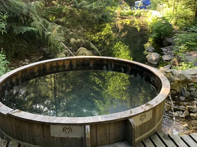 Cedar outdoor hot tub on a wooden platform in a sun-dappled forest