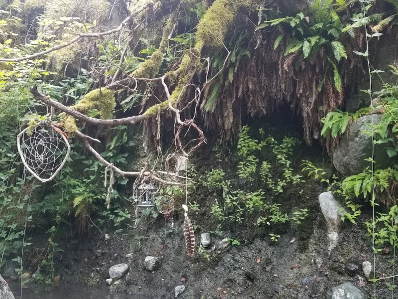 Moss-covered hot spring pool wall with hanging decor in rainforest