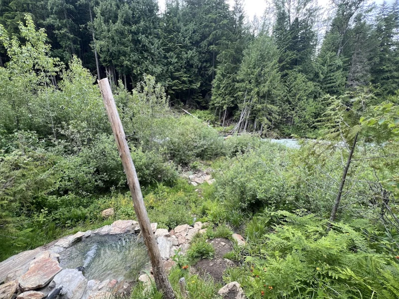 Rustic outdoor hot springs pool beside a forest river in Crawford Bay, BC