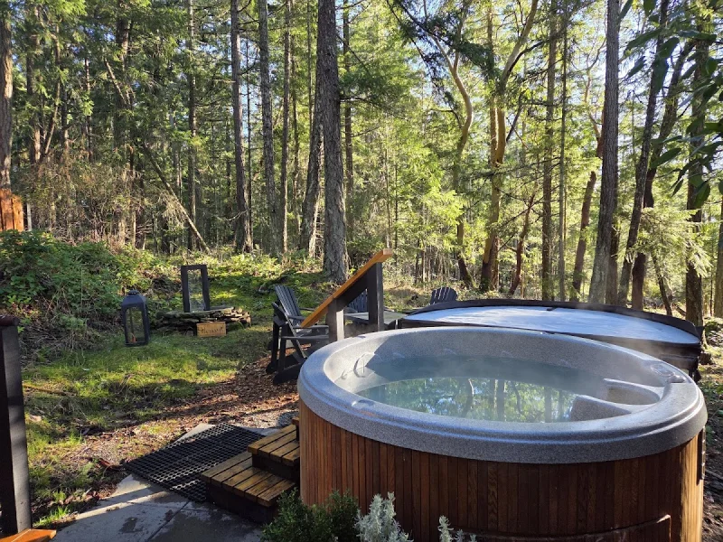 Outdoor hot tub retreat surrounded by tall forest at a secluded thermal spa
